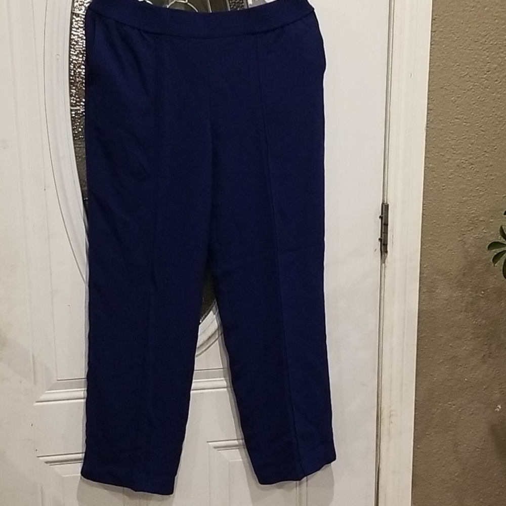 Navy blue pants